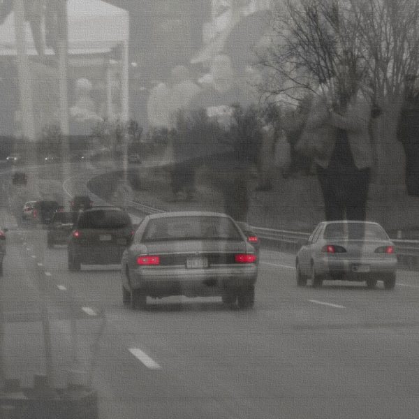 coryryanFeature_cecinest