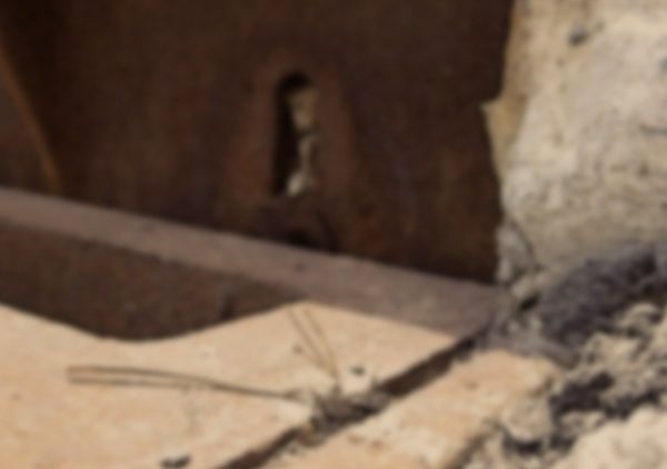 coryryanFeature_W31n8