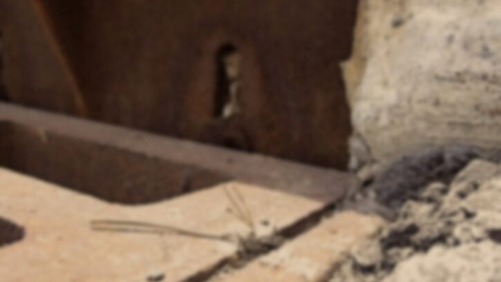 coryryanFeature_W31n8