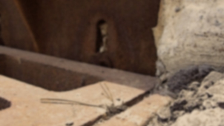 coryryanFeature_W31n8