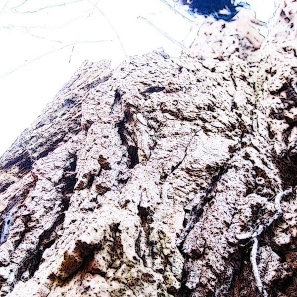 coryryanFeature_vignette