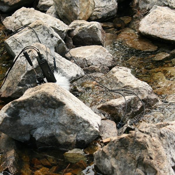 coryryanFeature_EagleRiver