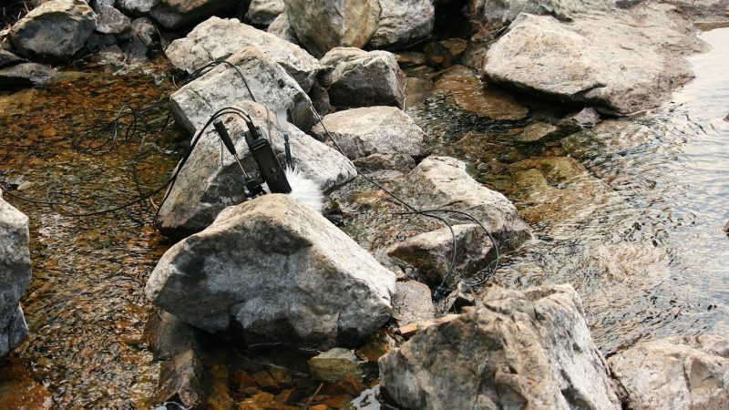 coryryanFeature_EagleRiver