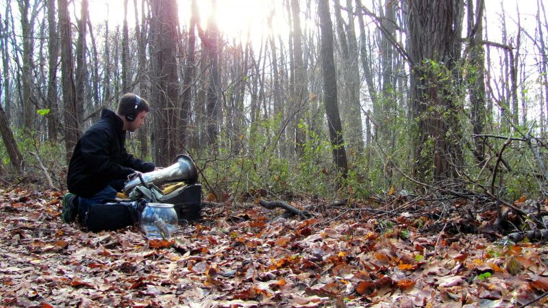 coryryanFeature_splitTree