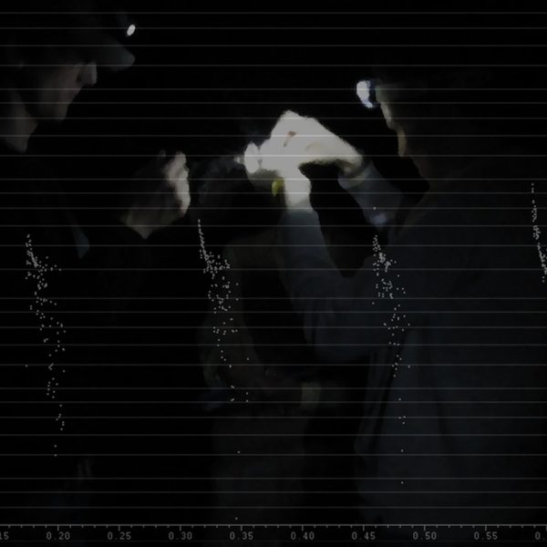 coryryan_mistnetting