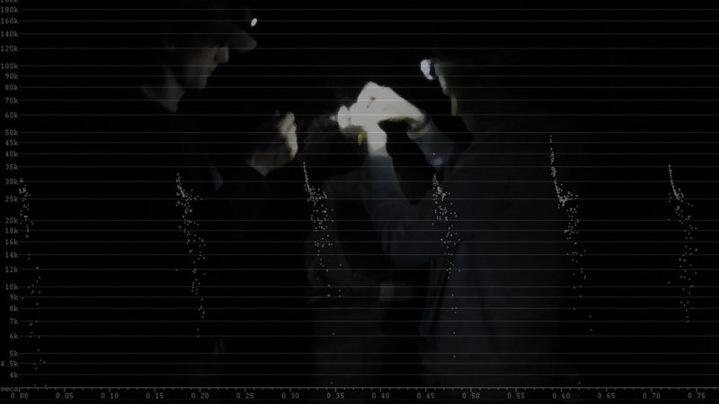 coryryan_mistnetting