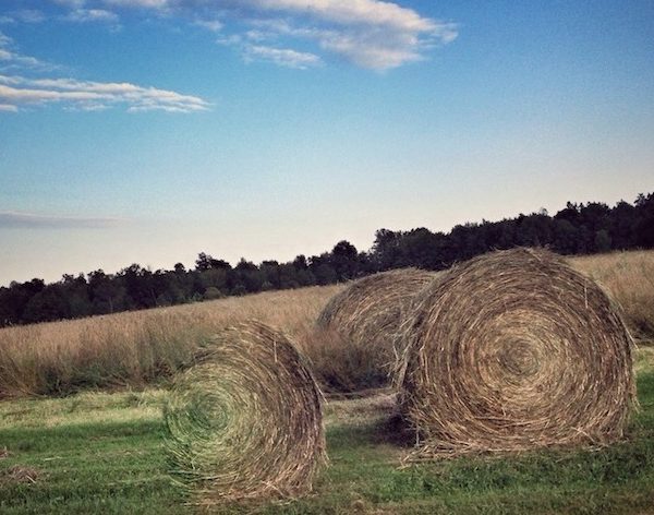 coryryan_mansfieldPA