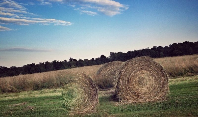 coryryan_mansfieldPA