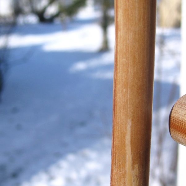 coryryan_NearWindchimes_big