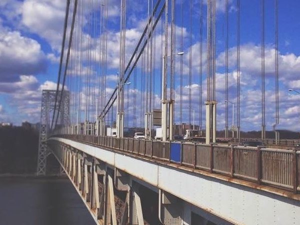 coryryanFeature_chameleon