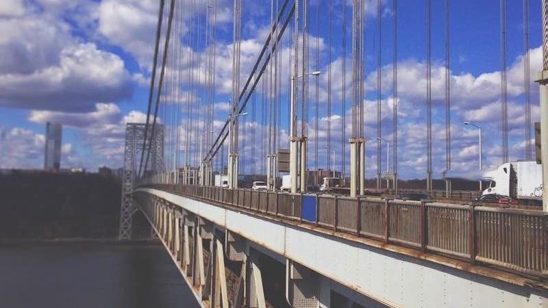 coryryanFeature_chameleon