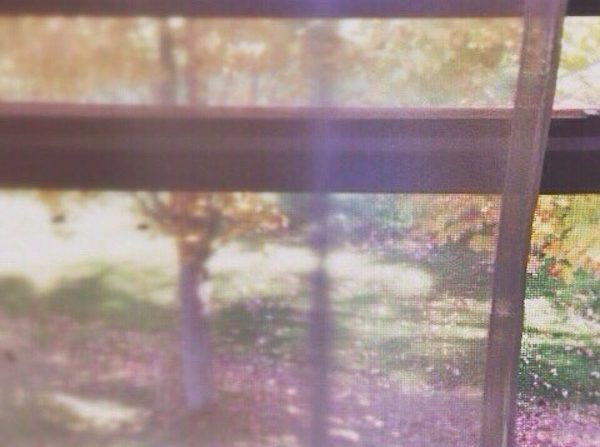 coryryan_cottageWindow