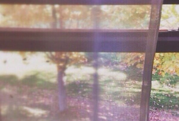 coryryanFeature_cottageWindow