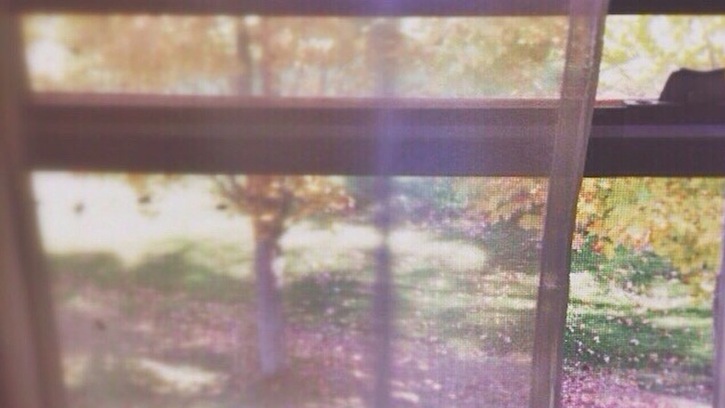 coryryanFeature_cottageWindow