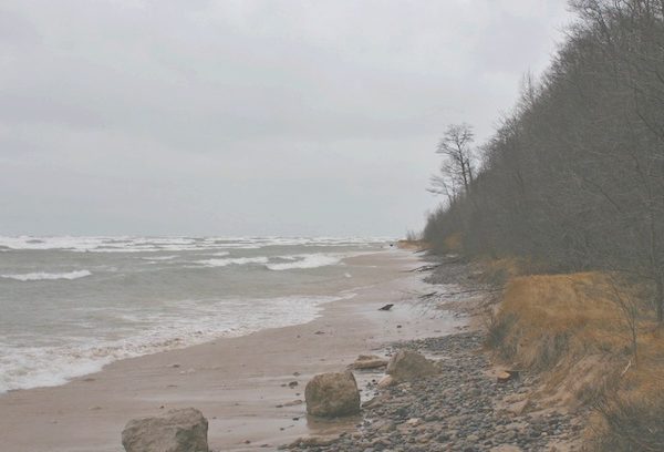 coryryanFeatured_shells