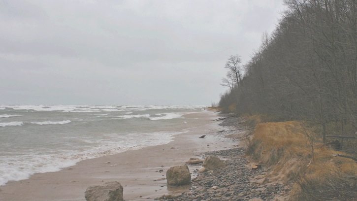 coryryanFeatured_shells