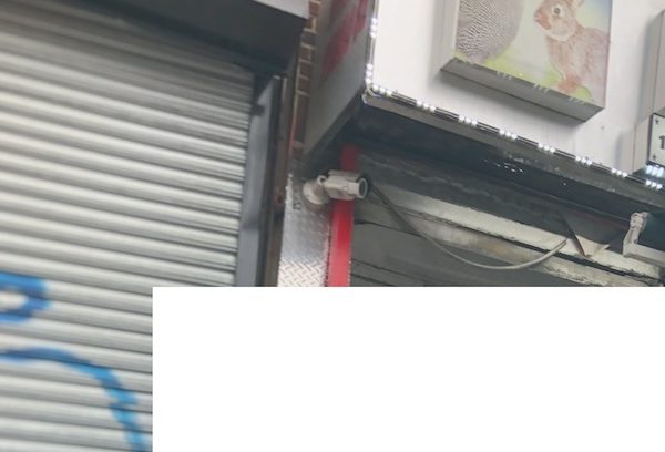 CoryRyanFeatured-triptych copy